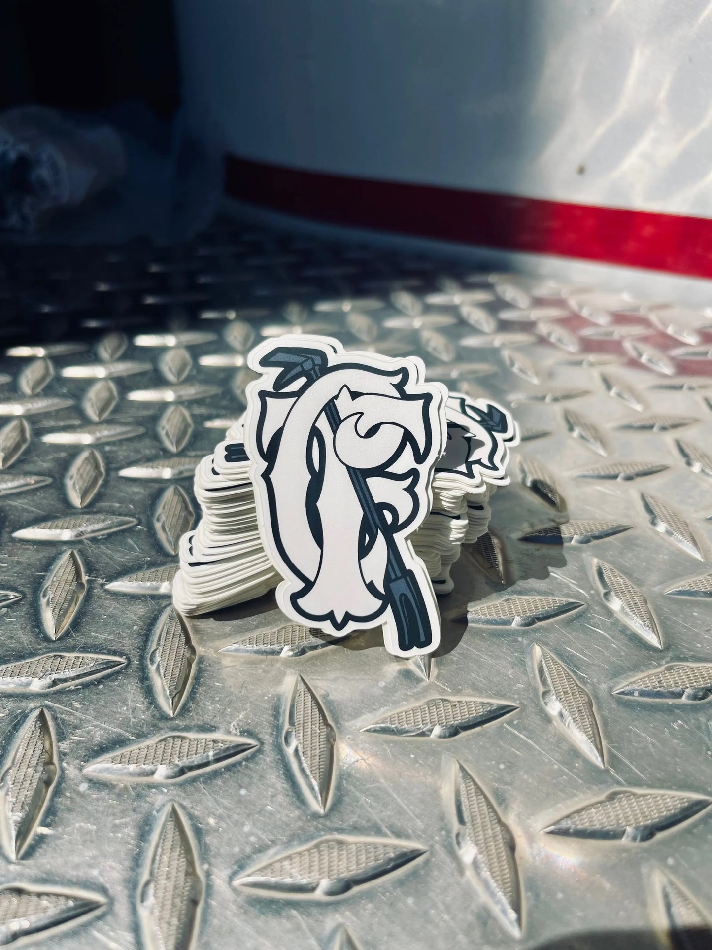 Coyote Slaps My Store